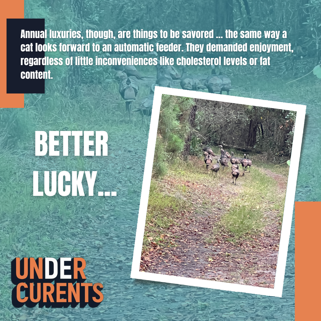Better Lucky ...